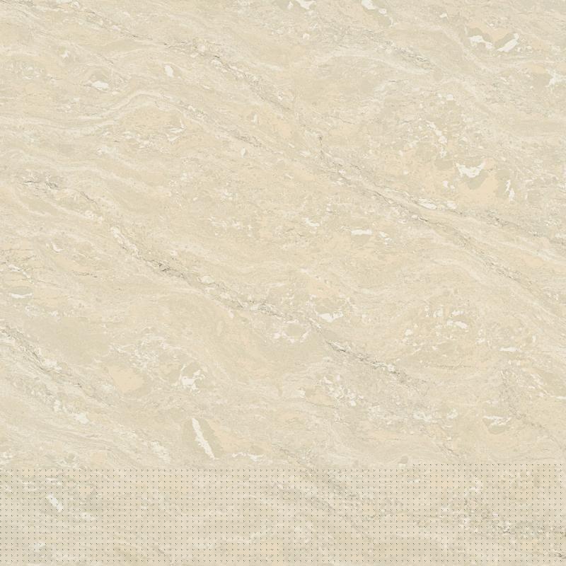 郁金香 | 600cm × 600cm