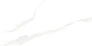 J8T8082