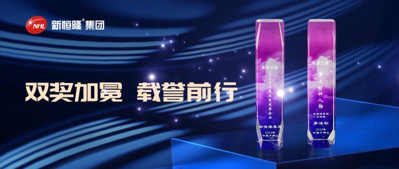 双奖加冕 | 新恒隆集团荣获“高质量发展优秀成果企业”“年度标杆人物”殊荣