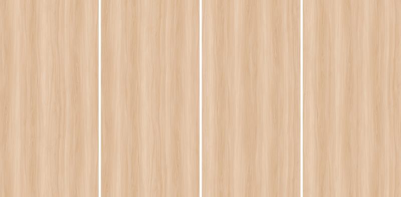 GS918905R 