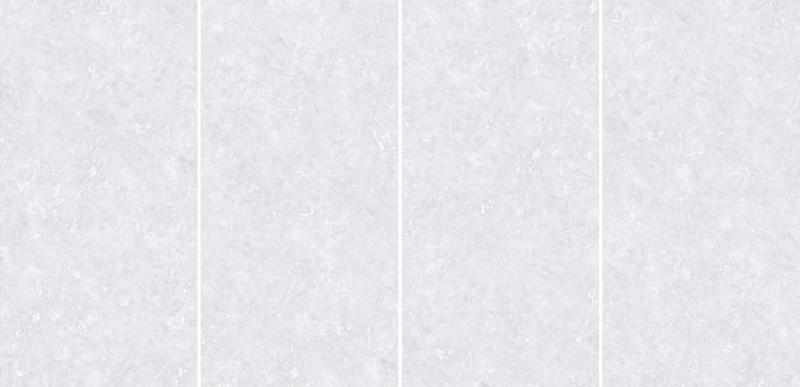GS918101R
